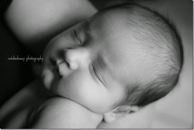 Langager Newborn 2013 186