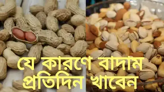 বাদাম