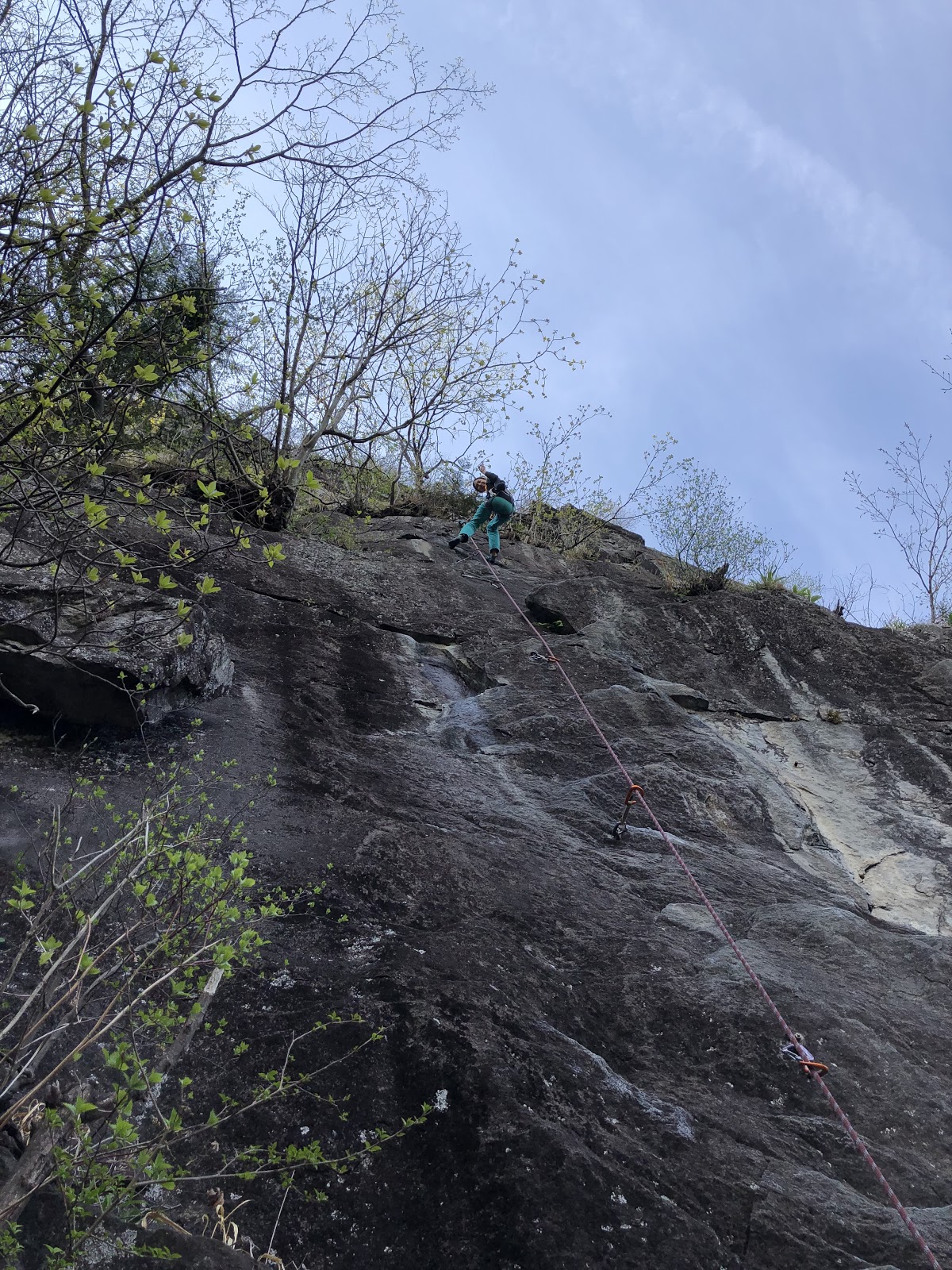 Scientific Climbing 腰椎横突起骨折 Day4 21 と黒岩と小川山でのリハビリ