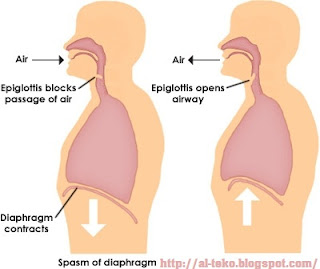 http://faktabukanopini.blogspot.com/