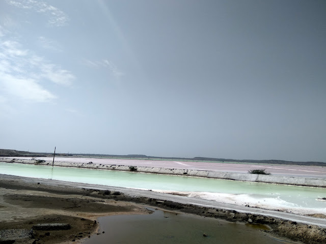 pink-salt-pan-gujarat