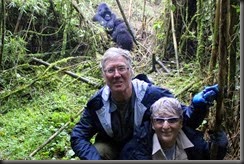 us with gorilla