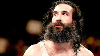 Luke Harper Bray Wyatt Wyatt Family Smackdown WWE Champion