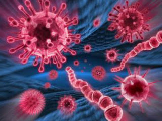 SALUD: Médicos australianos alertaron que una "poco conocida" enfermedad de transmisión sexual (ETS), llamada Mycoplasma genitalium (MG), se está volviendo resistente a los antibióticos.
