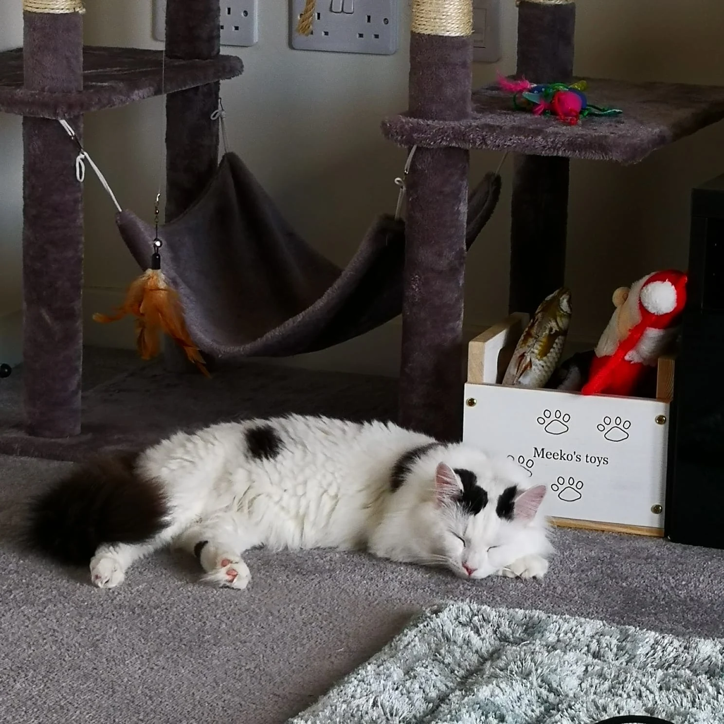 Personalised cat toy box