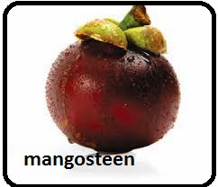 mangosteen fruit