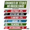 www.seuguara.com.br/Brasileirão 2020/chances de título/