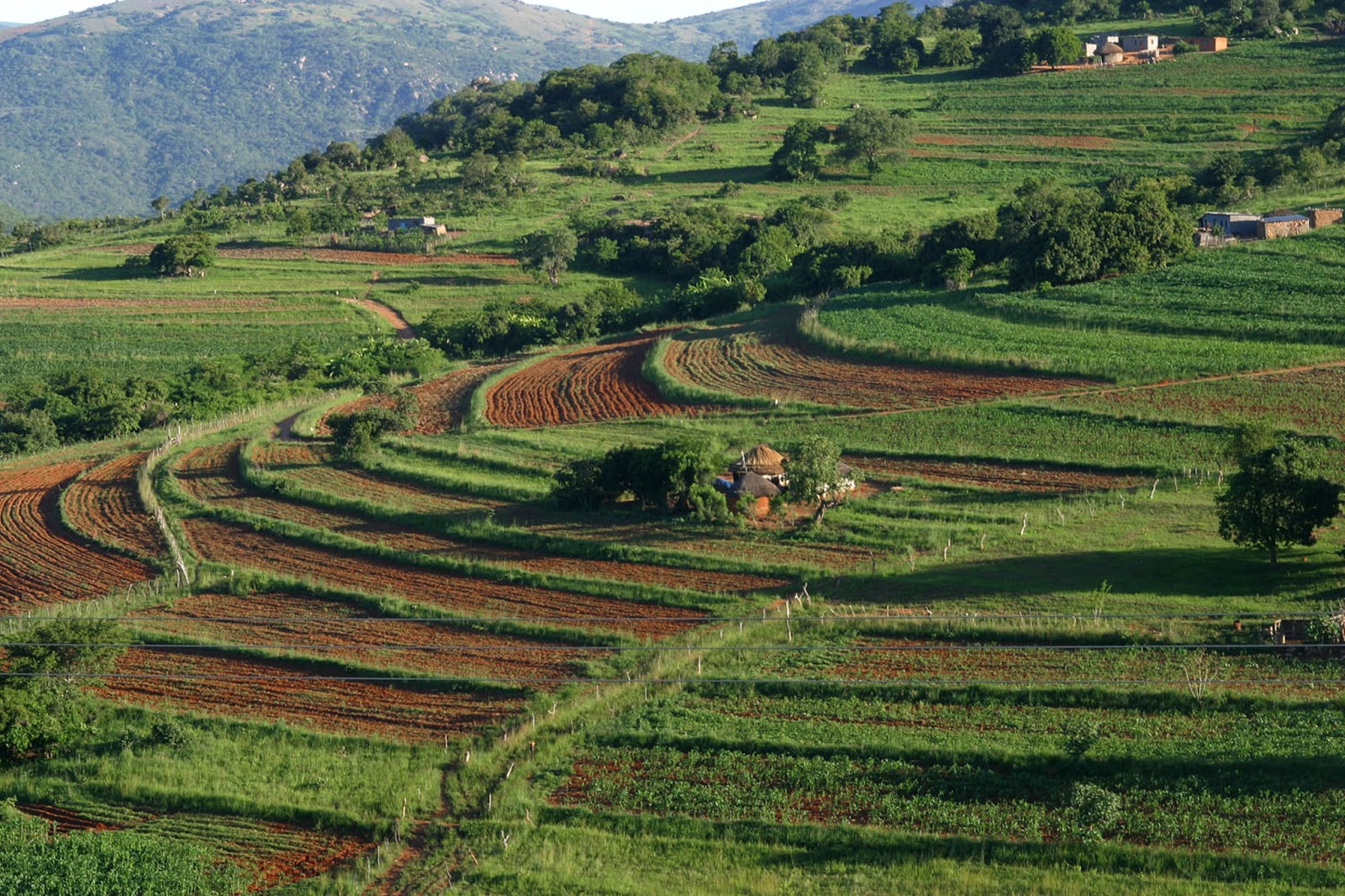 Swaziland. A voyage to Kingdom of Swaziland ( Umbuso weSwatini ...