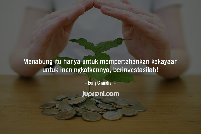 50 Kata Kata Motivasi Mengajak Investasi untuk Masa Depan