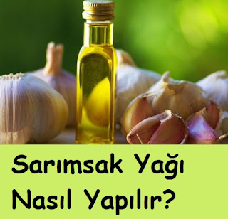 Sarımsak Yağı Nasıl Yapılır