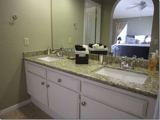 Master ensuite vanity