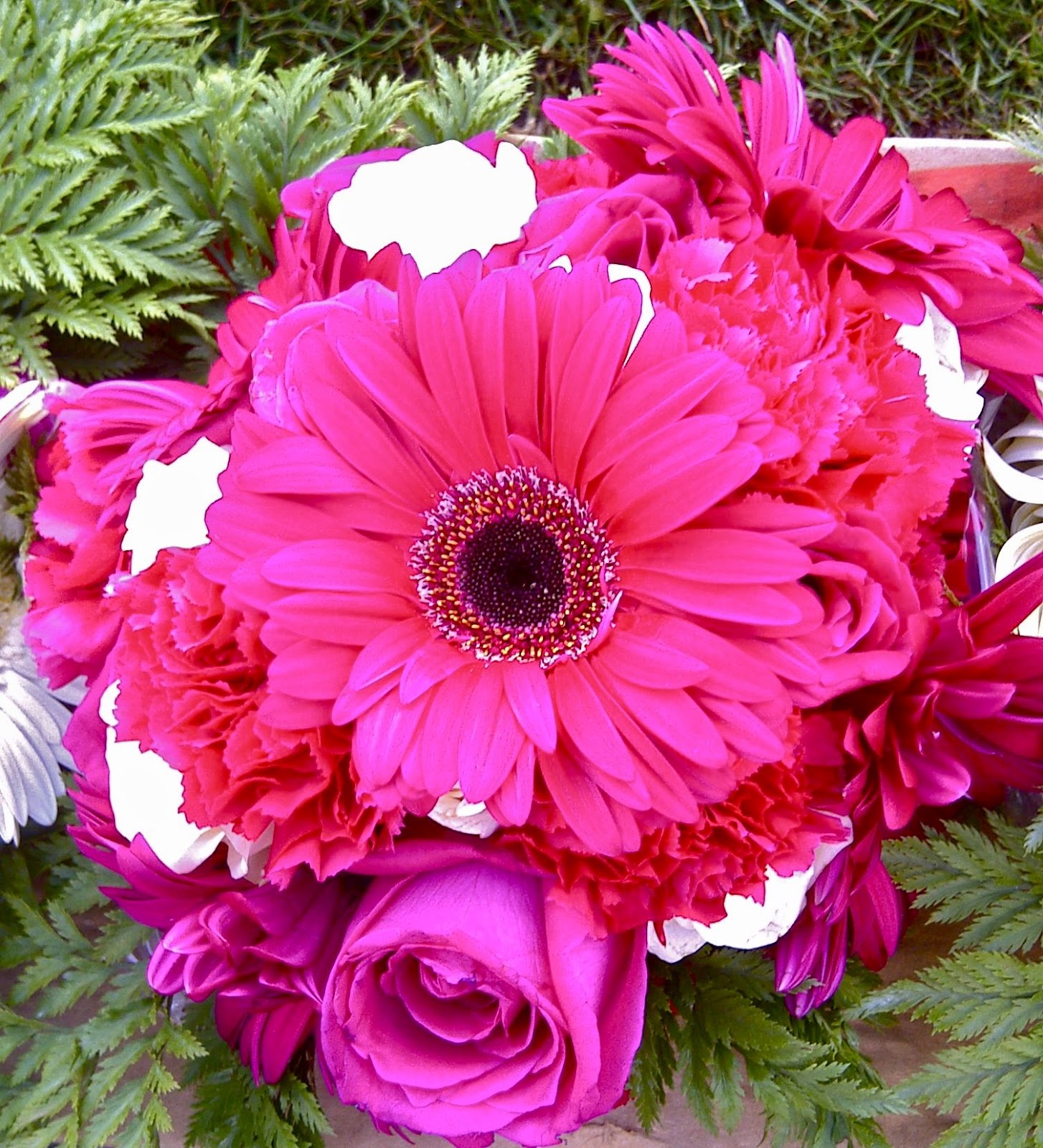 Dark Pink And White Roses