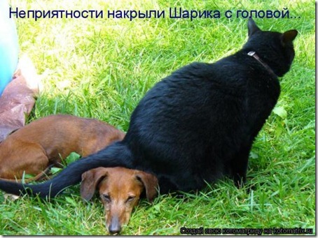 961fe1bda828cc62478ec2f19ef_prev