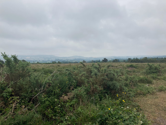 countryside south Devon