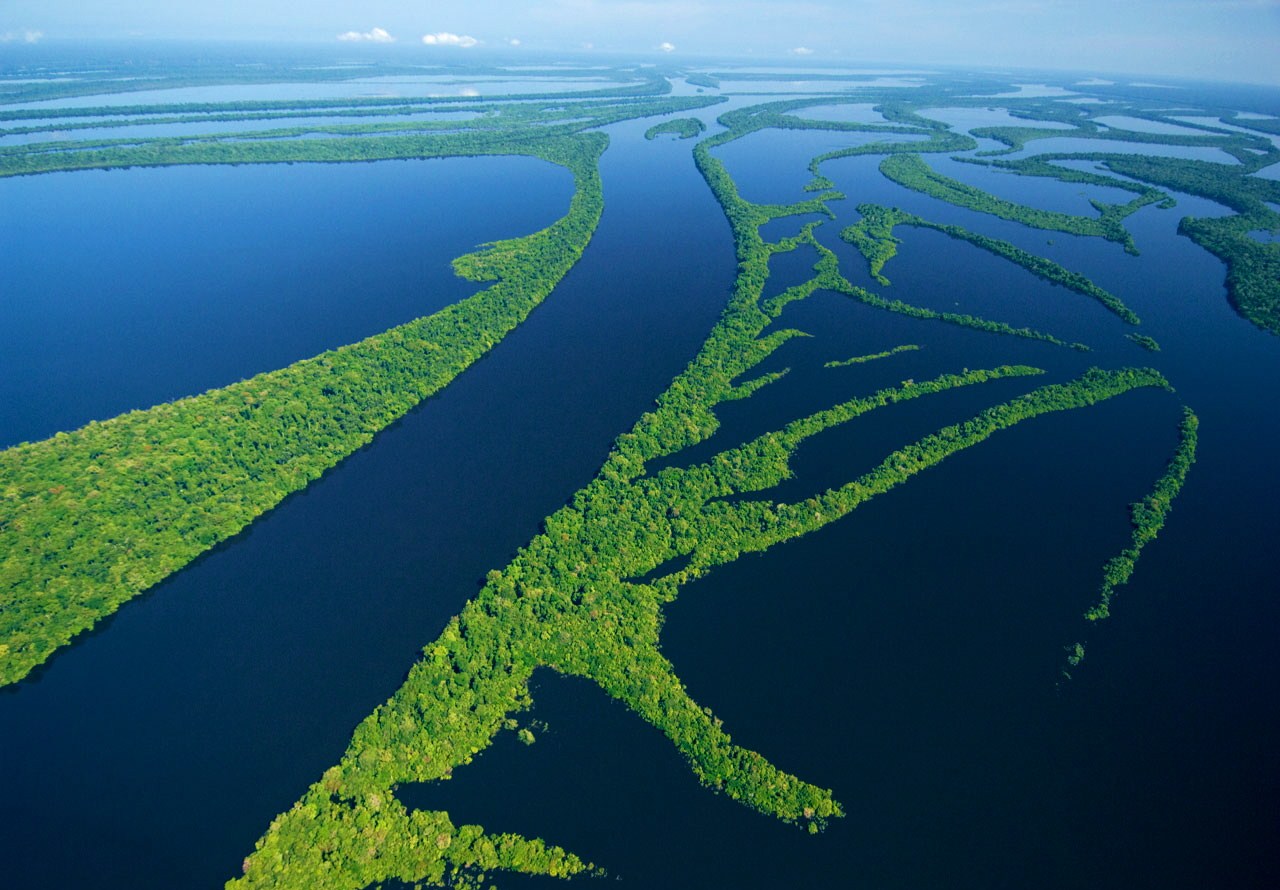 Anavilhanas | Amazonas | Brasil