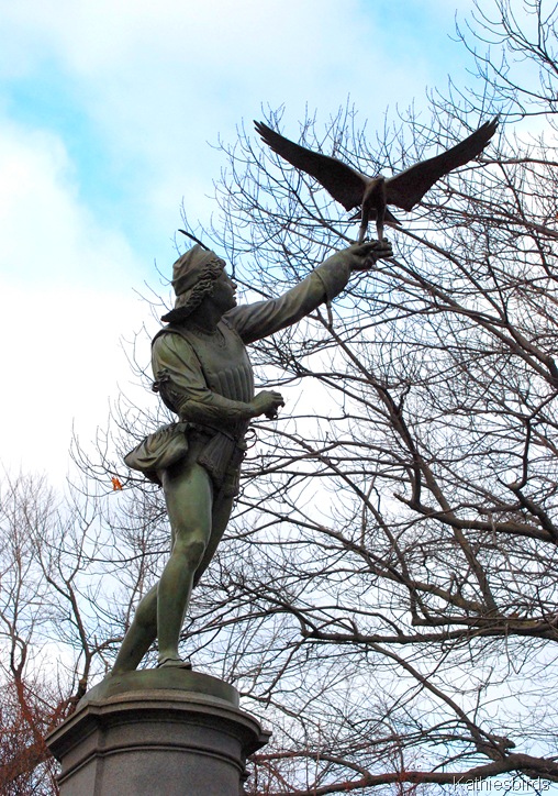 1. The Falconer kathiesbirds