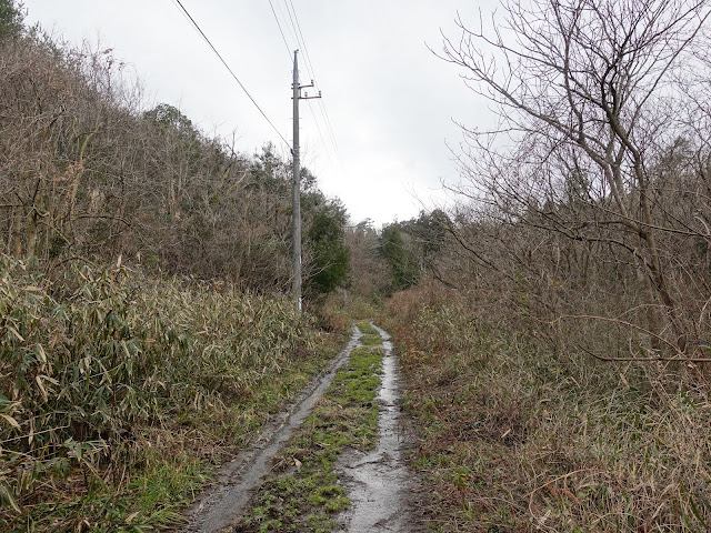 鳥取県米子市淀江町稲吉　森の中の小径