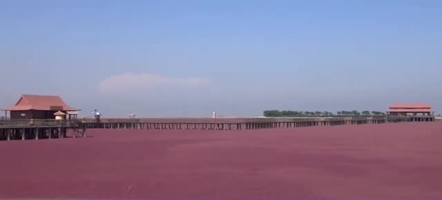 10 AMAZING PLACES AROUND THE WORLD 7. Red Beach, China