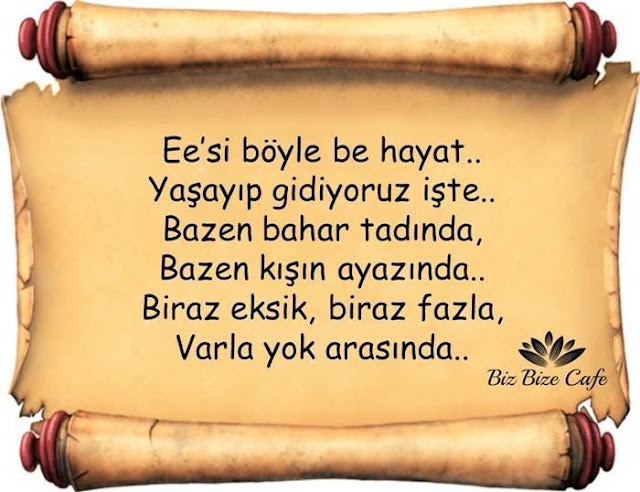 Ee'si böyle be hayat. Yaşayıp gidiyoruz işte..Bazen bahar tadında, bazen kışın ayazında.. Biraz eksik, biraz fazla.. Varla yok arasında..