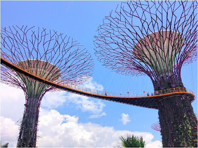 Gardens by the Bay