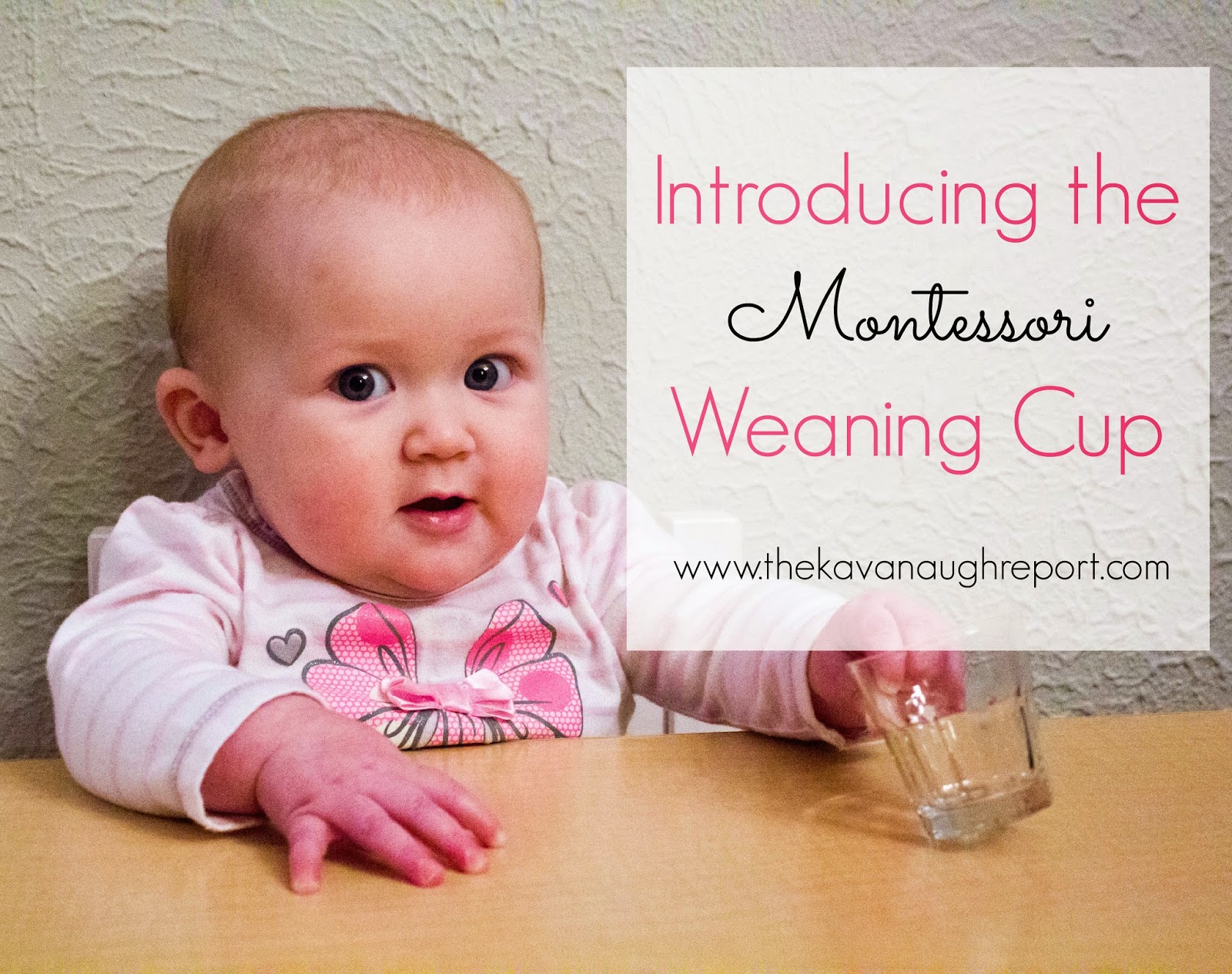 Introducing the Weaning Cup