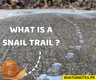 snail trail, snail trail meaning, what is a snail trail