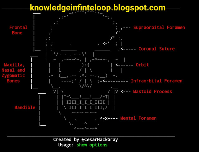 Install Fotosploit tool in Termux - Most advanced Phishing tool ever in Termux