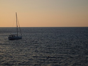 P6303663