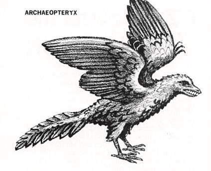 clip_image080