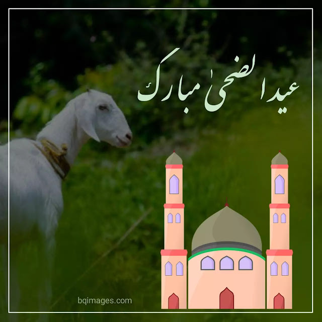 eid ul adha mubarak hd