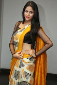 Lavanya Tripathi glam pics in saree-thumbnail-29