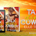 Release Blitz & Giveaway - Talk Dirty, Cowboy by Elle Thorpe