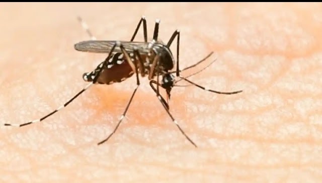 पाकिस्तान पर दोहरी मार: बाढ़ के कहर के बीच डेंगू ने मचाई तबाही,24 घण्टे के अंदर 7 की मौत