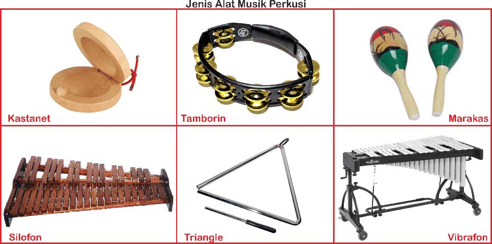 Jenis Jenis Alat Musik