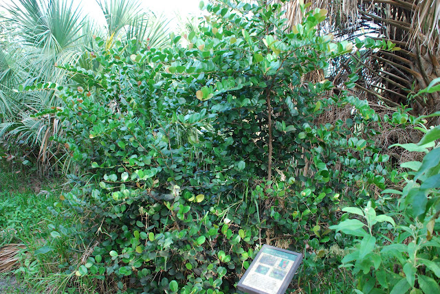 Lovers Key State Park