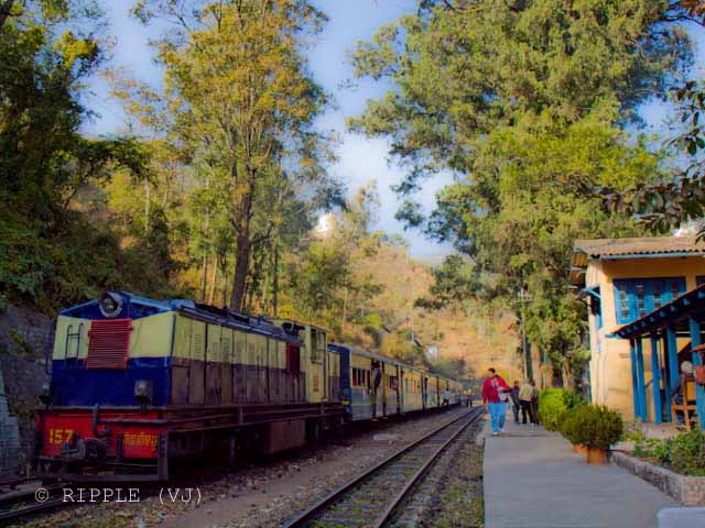 Long Wait time of Shimla-Kalka Toy Train gives enough time to appriciate the beauty of Himachal Pradesh: Posted by VJ on PHOTO JOURNEY @ www.travellingcamera.com : VJ, ripple, Vijay Kumar Sharma, ripple4photography, Frozen Moments, photographs, Photography, ripple (VJ), VJ, Ripple (VJ) Photography, VJ-Photography, Capture Present for Future, Freeze Present for Future, ripple (VJ) Photographs , VJ Photographs, Ripple (VJ) Photography : Longest wait time @ Sonwara Station : Its a beautiful place.. train stopped here for 40 minutes and I went up the hill to see other surrounding areas... There were beautiful fields with yellow mustard flowers... I came back after 25 minutes and spent 15 minutes watching people activites at railway station..