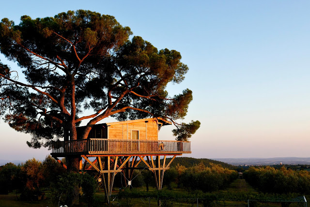 Dormire in una casa sull'albero italia