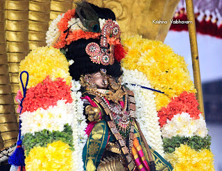 Sri Krishna Jayanthi,Kutty Krishna, Purappadu, Video, Divya Prabhandam, Sri Parthasarathy Perumal, Triplicane, Thiruvallikeni, Utsavam, 