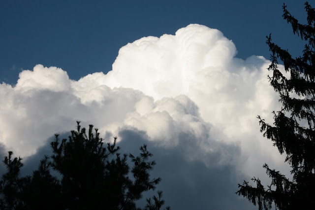 sky cloud trees