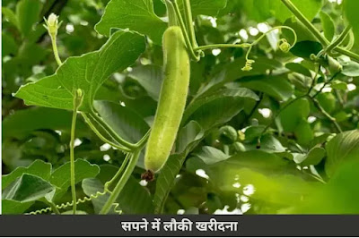 सपने में लौकी खरीदना