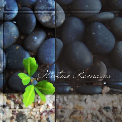 nature remains 7