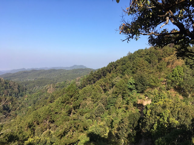 pha daeng national park, pa daeng national park, pha dang national park, pa dang national park