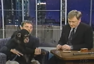 Chimpanzee on Late Night with Conan O'Brien