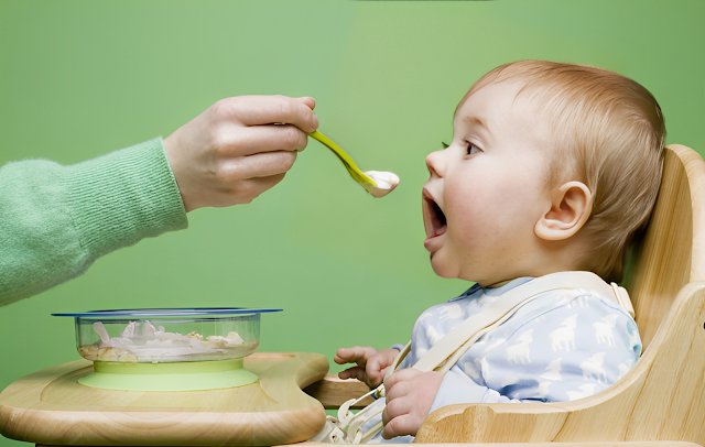 Pilihan Makanan Alami Terbaik untuk Bayi yang Sehat dan Kuat