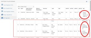 Resmi ... ! Paud dan Dikmas yang tidak pernah update Dapodik terancam ditutup