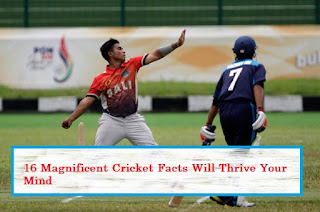 16 Magnificent Cricket Facts Will Thrive Your Mind