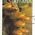 1988 - Guiana - Pholiota Aurivella