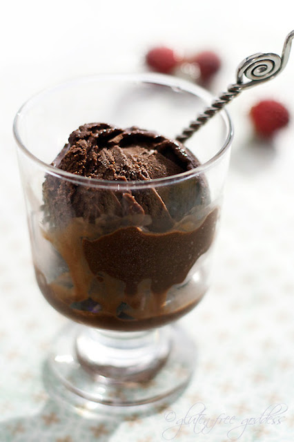 Gluten-free vegan chocolate sorbet recipe