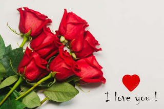 Love rose photo download hd