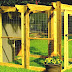 Doghouse - Build A Dog House